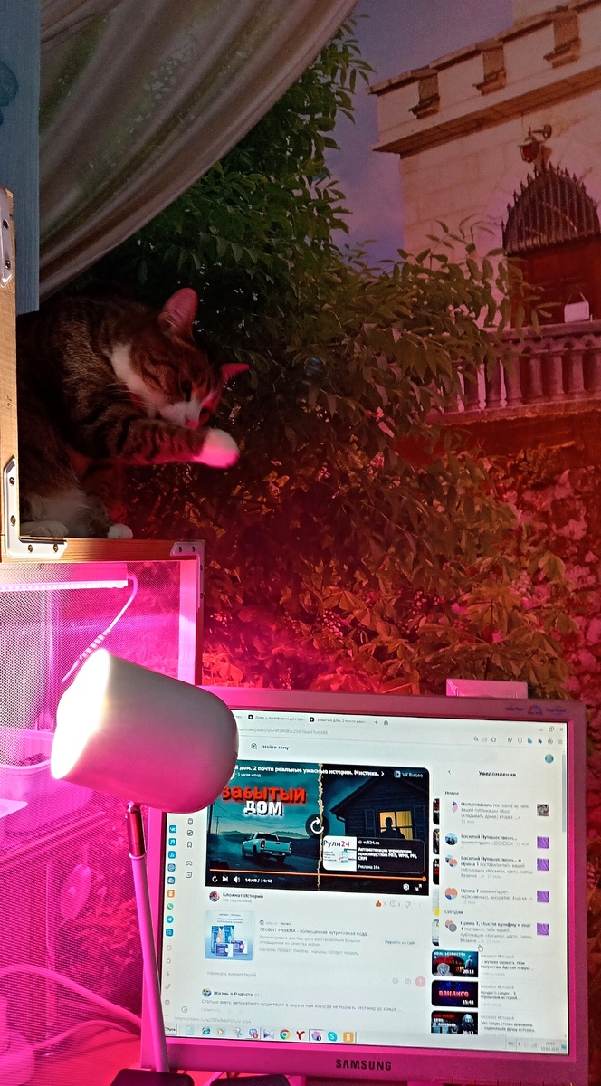 Фото автора. 