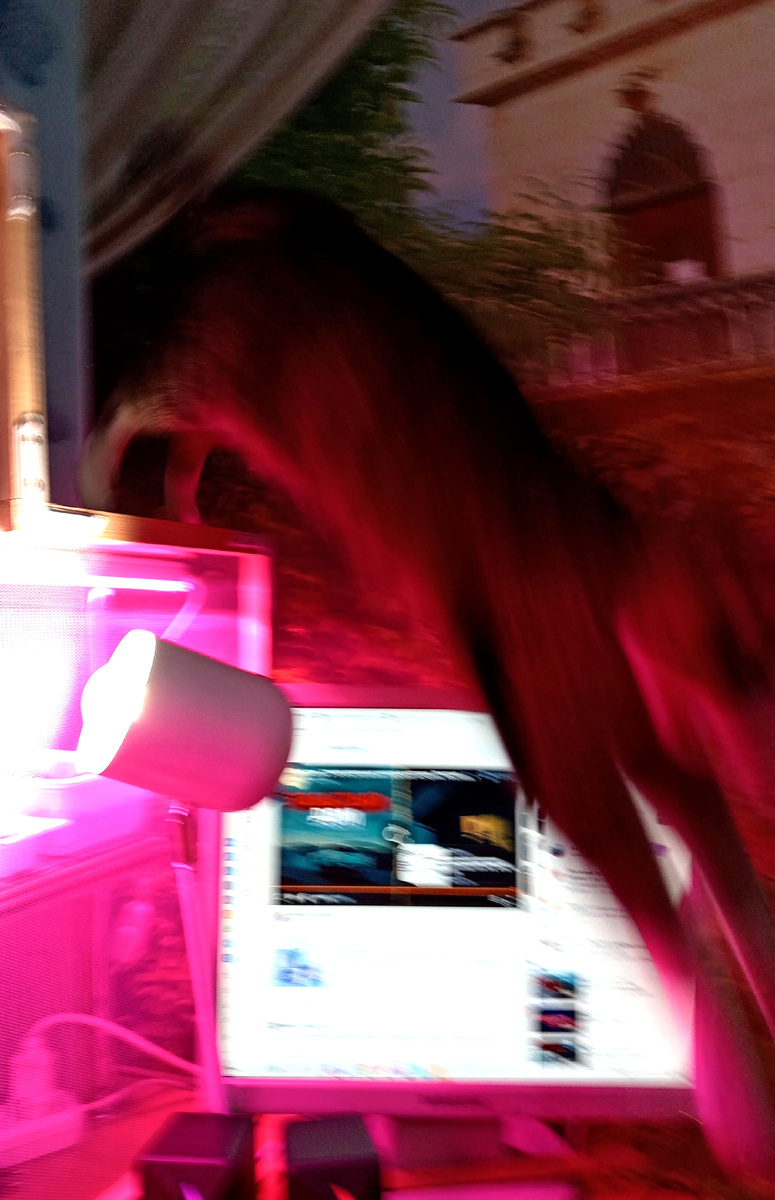 Фото автора. 