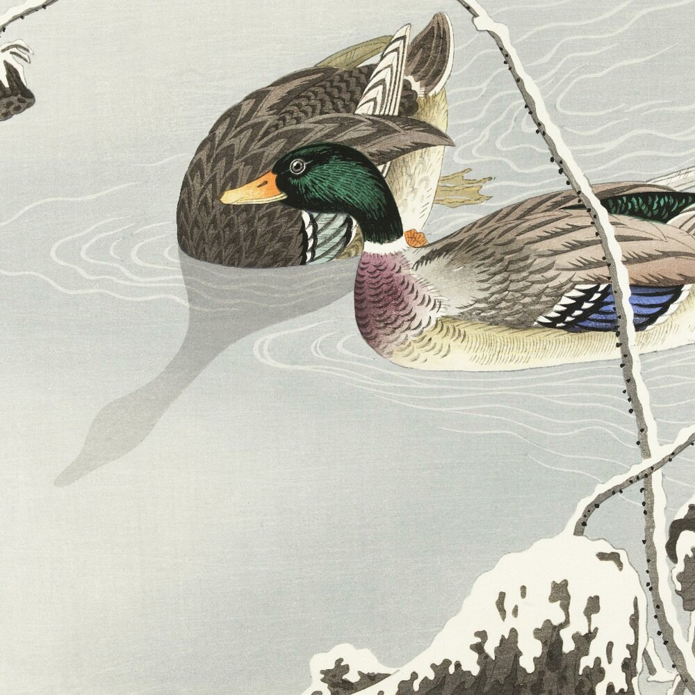 Художник Охара Косон