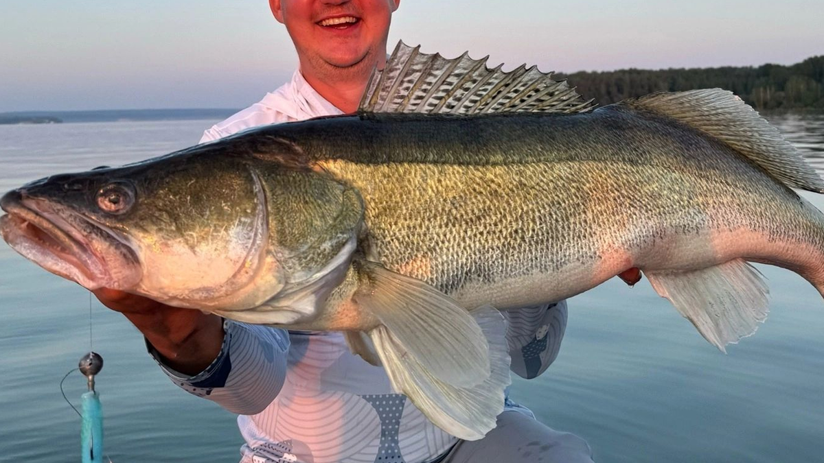 из открытых источников