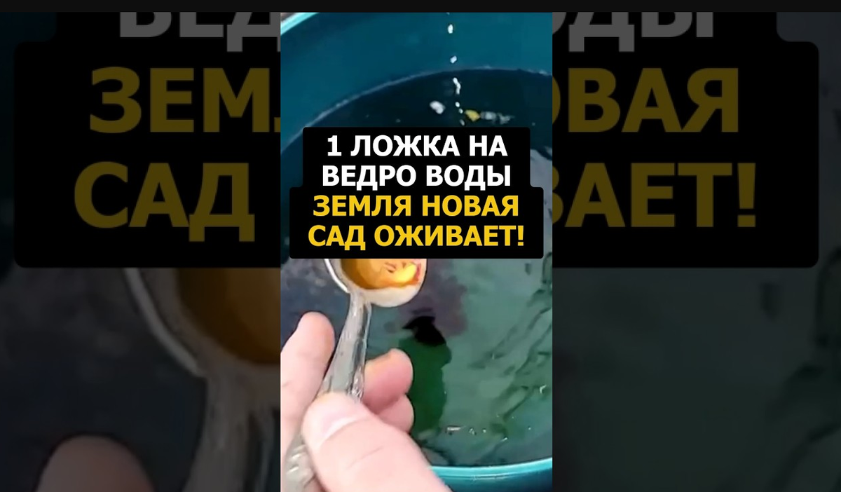 Дача. Сад. Цветы