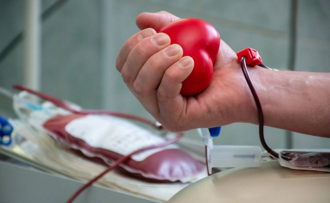    © Пресс-служба администрации Ленинградской области