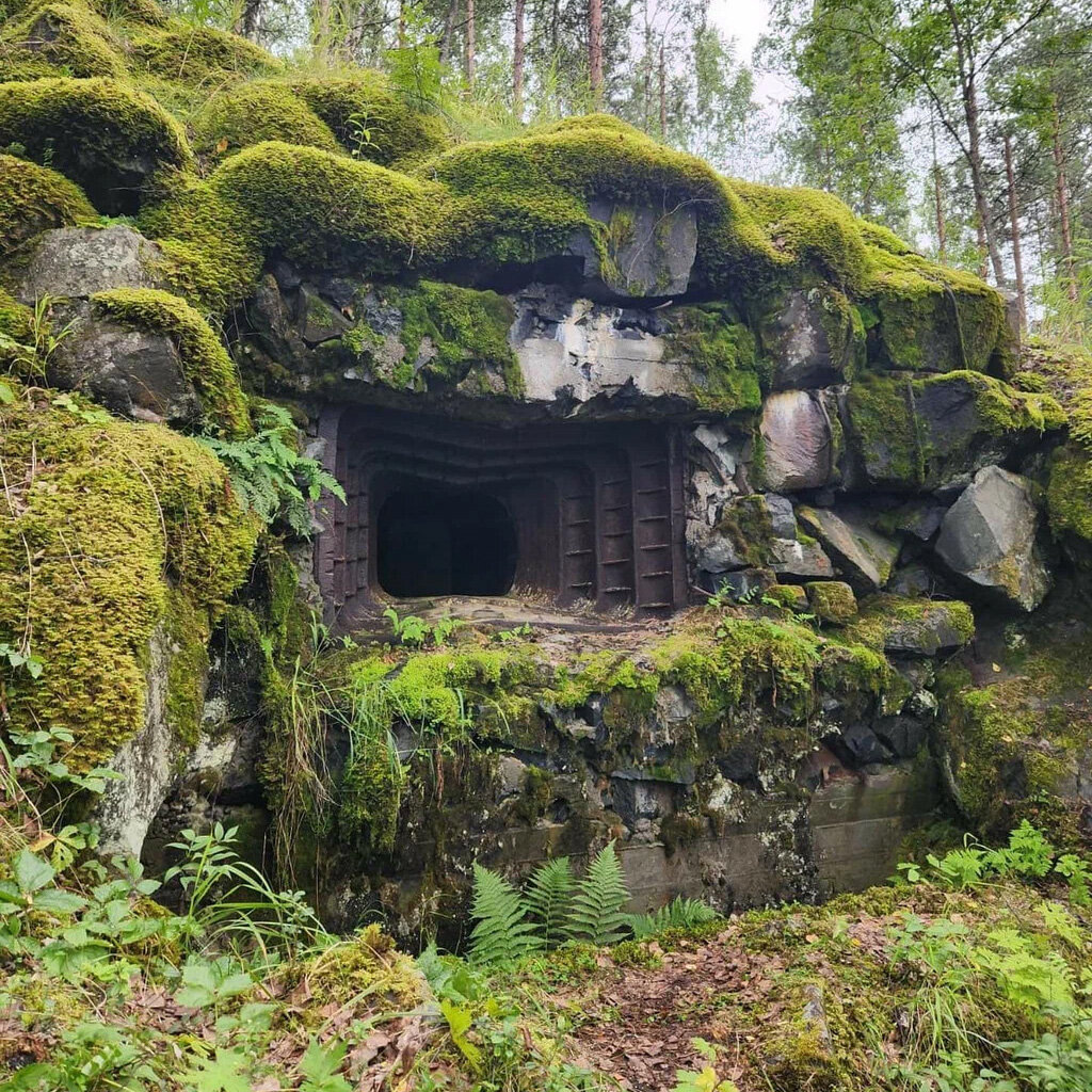 В некоторые помещения сегодня туристы могут попасть на экскурсии. Фото: Глеб Брянский / Яндекс Карты