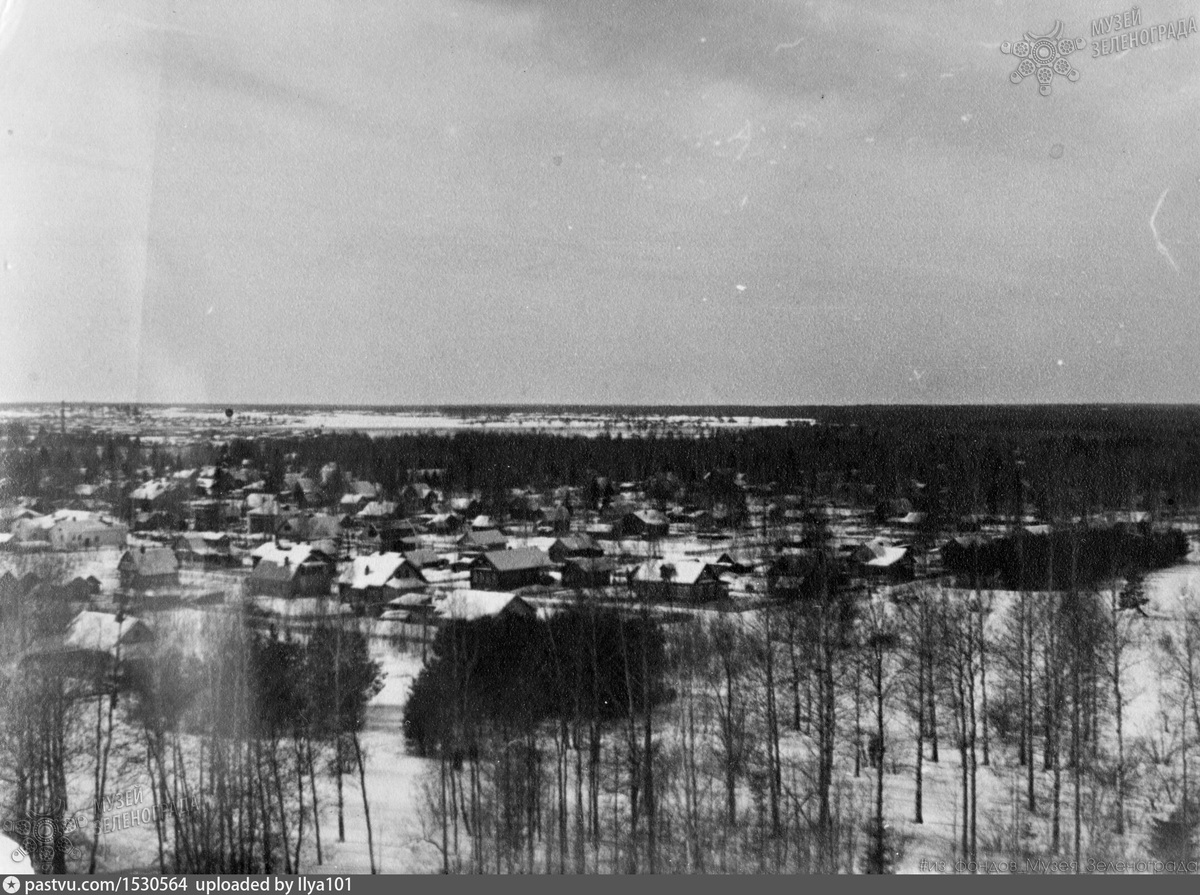 Вид с высоты на окрестности посёлка Крюково. 1956 - 1958 гг. Фото: pastvu.com