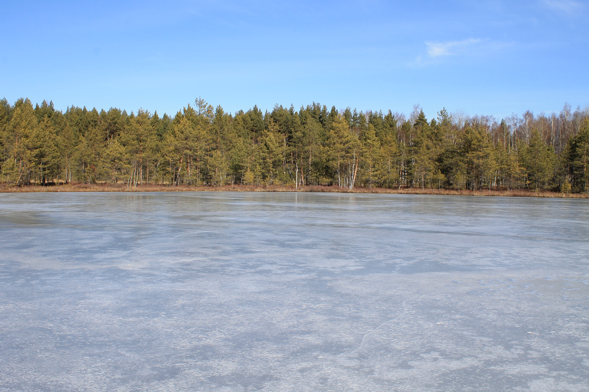 листайте галерею