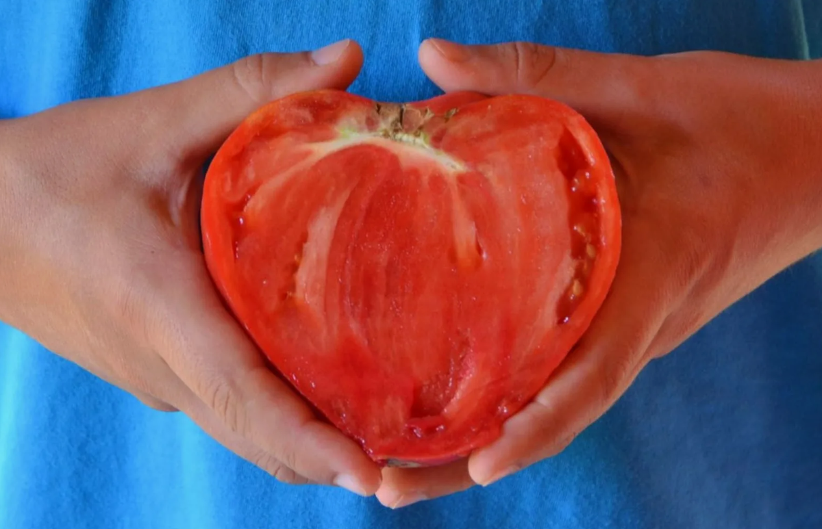 Дача. Сад. Цветы