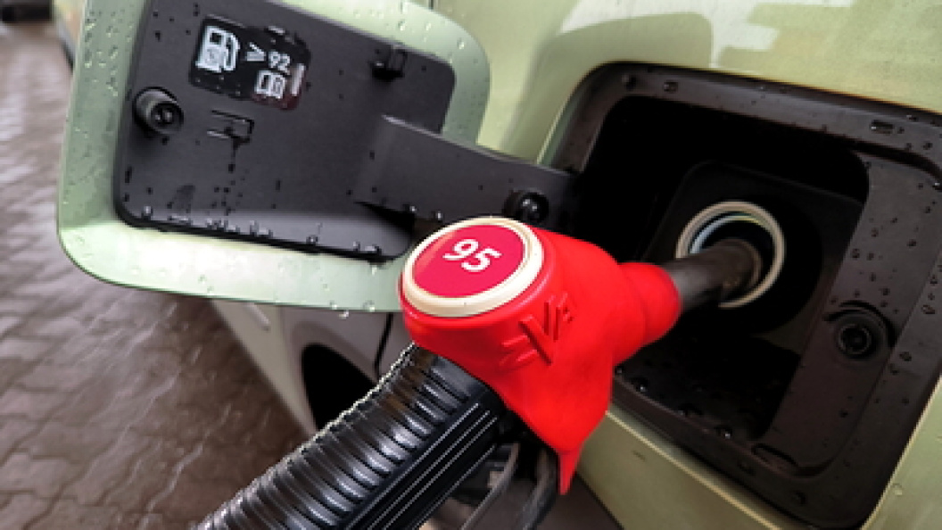    Фото: Maksim Konstantinov/Globallookpress