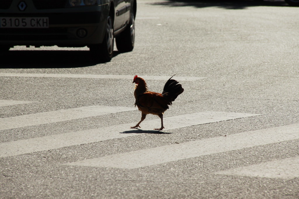 Источник фото: ЯндексКартинки