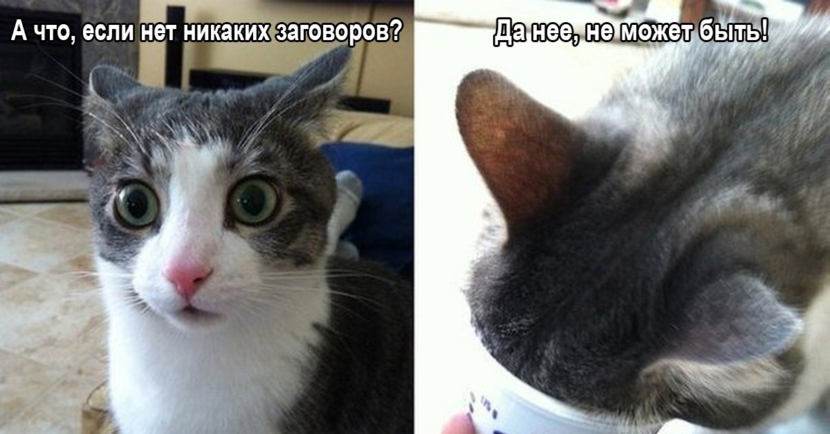 Теория заговора