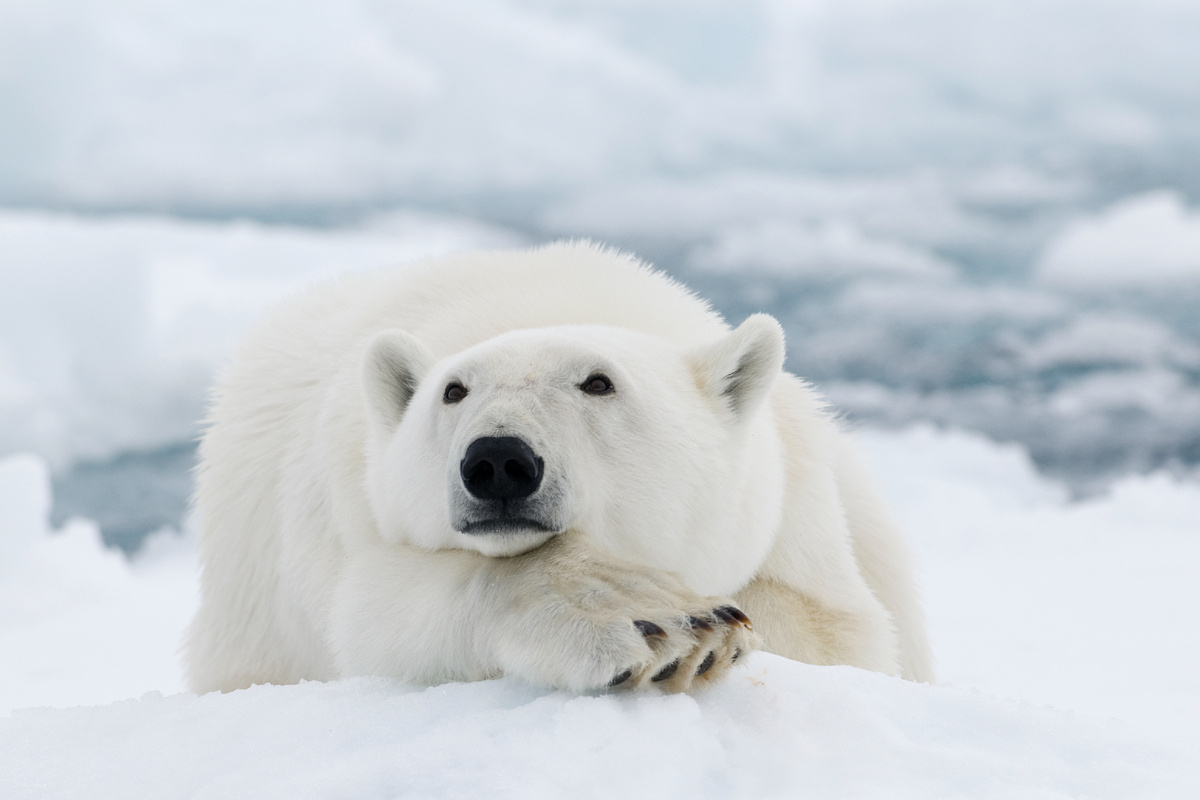 dagsjo/istock 