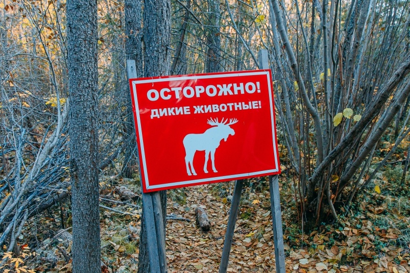    Фото: primamedia.ru Георгий