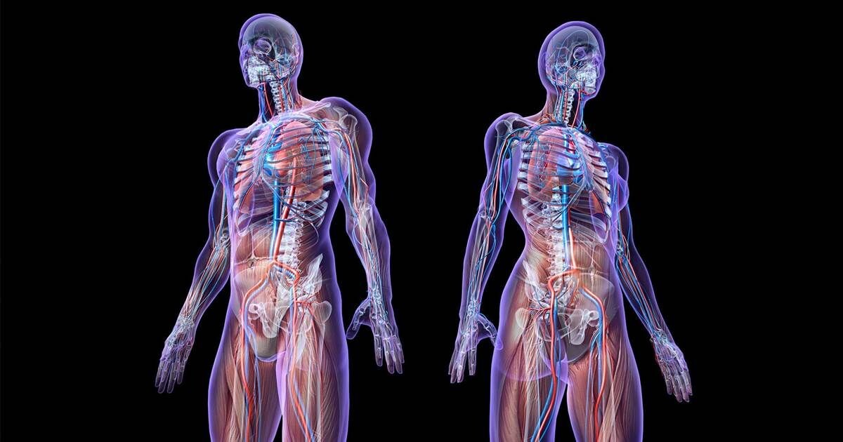 Взято из открытых источников в интернете 