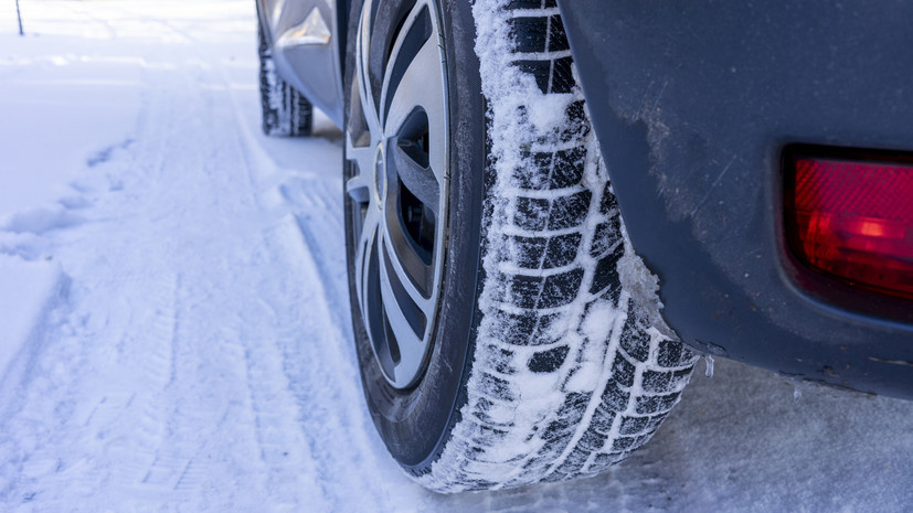   Gettyimages.ru Animaflora