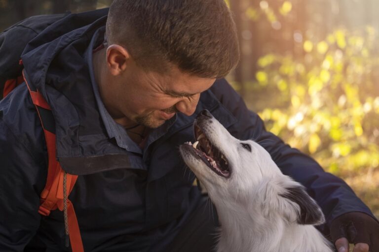    Фото: freepik/freepik Екатерина Шахнина