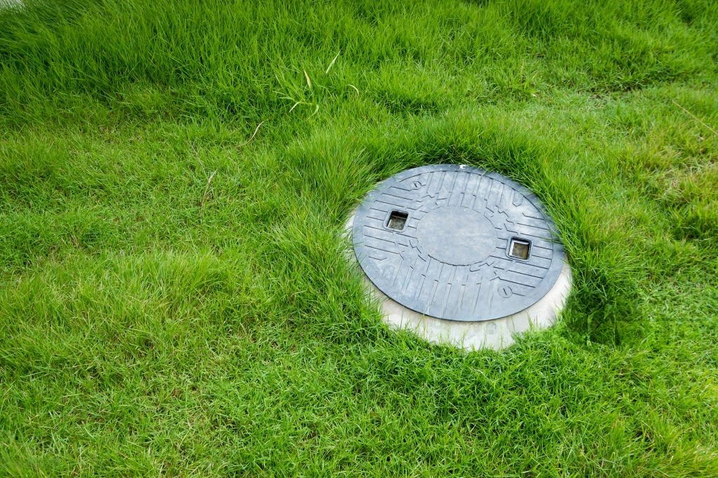 Фото: istockphoto.com