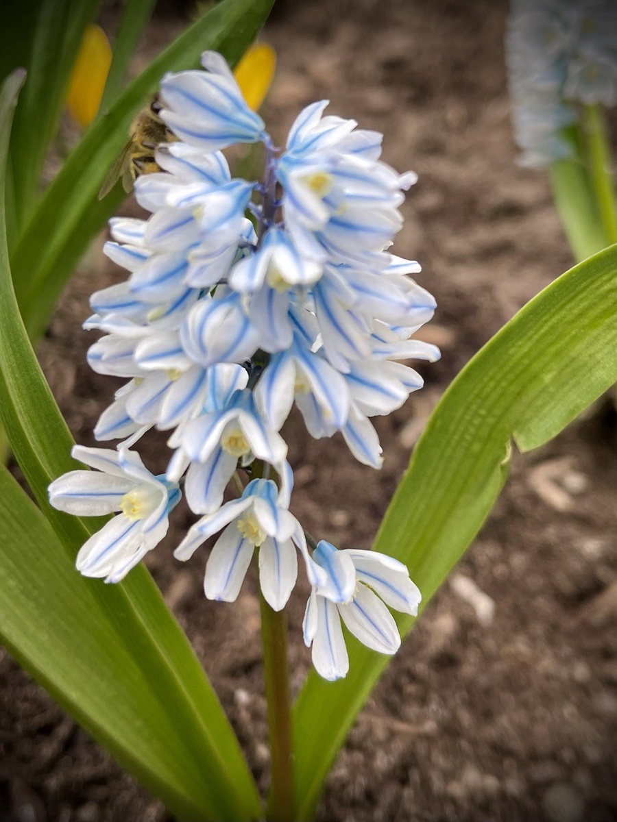 фото автора, весна 2024