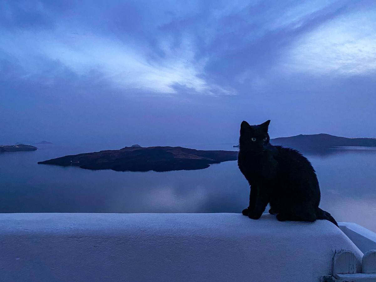 Черный кот на Санторини 