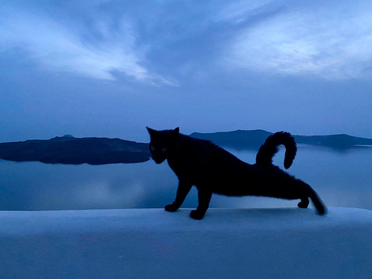 Можно расслабиться и возвращаться к нормальной жизни... 