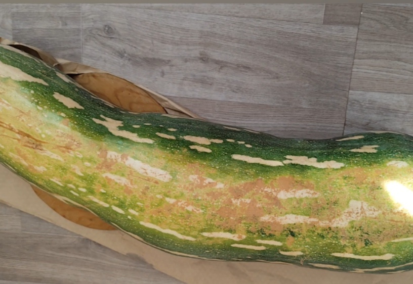 Вот она, издевательница. Сколько времени у меня отняла. Фото автора.