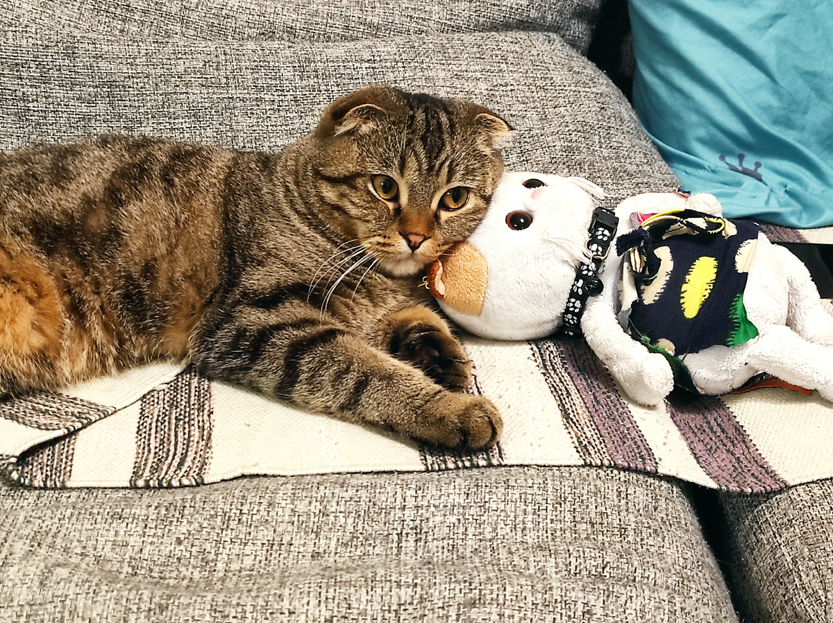 Серо живёте