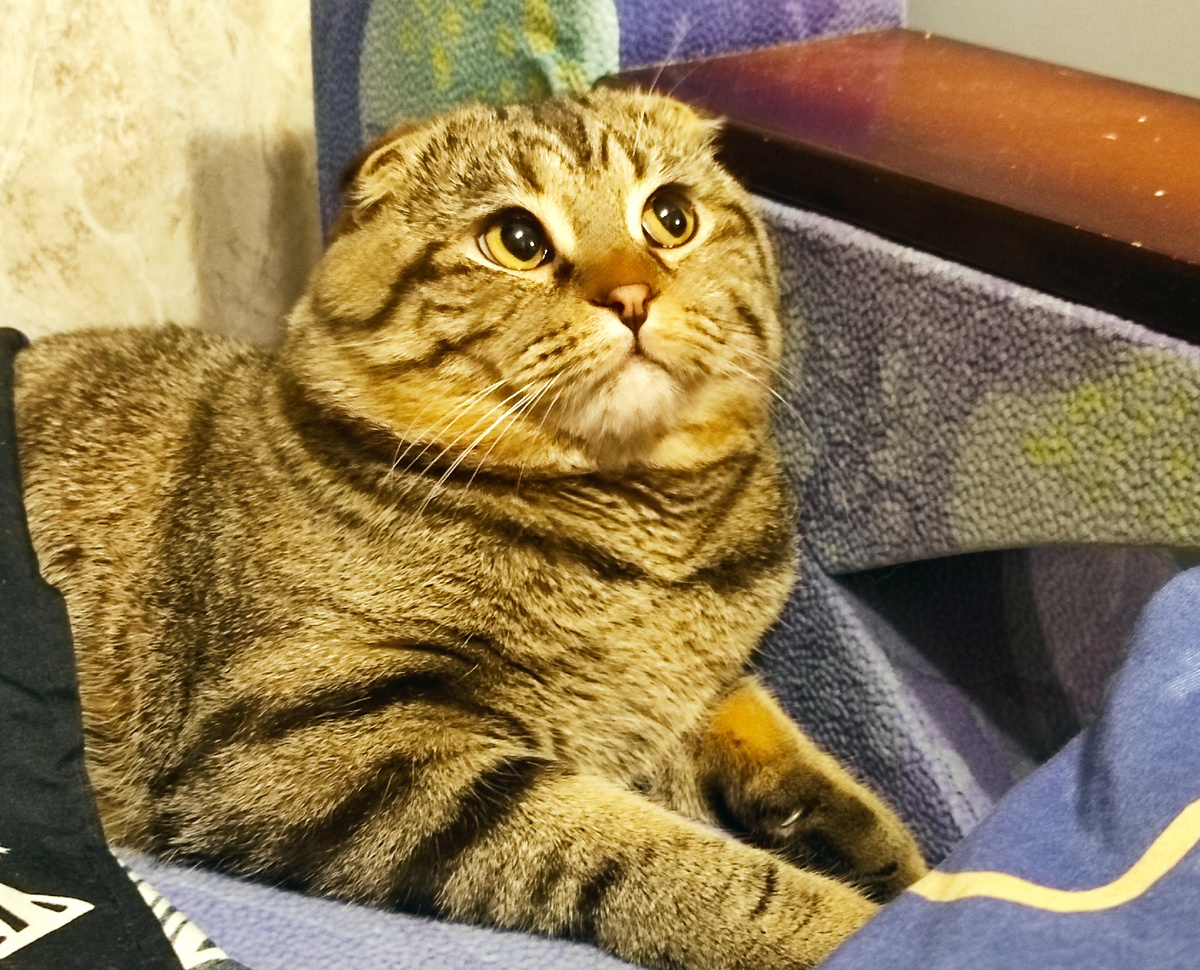 Ничего не понятно ...