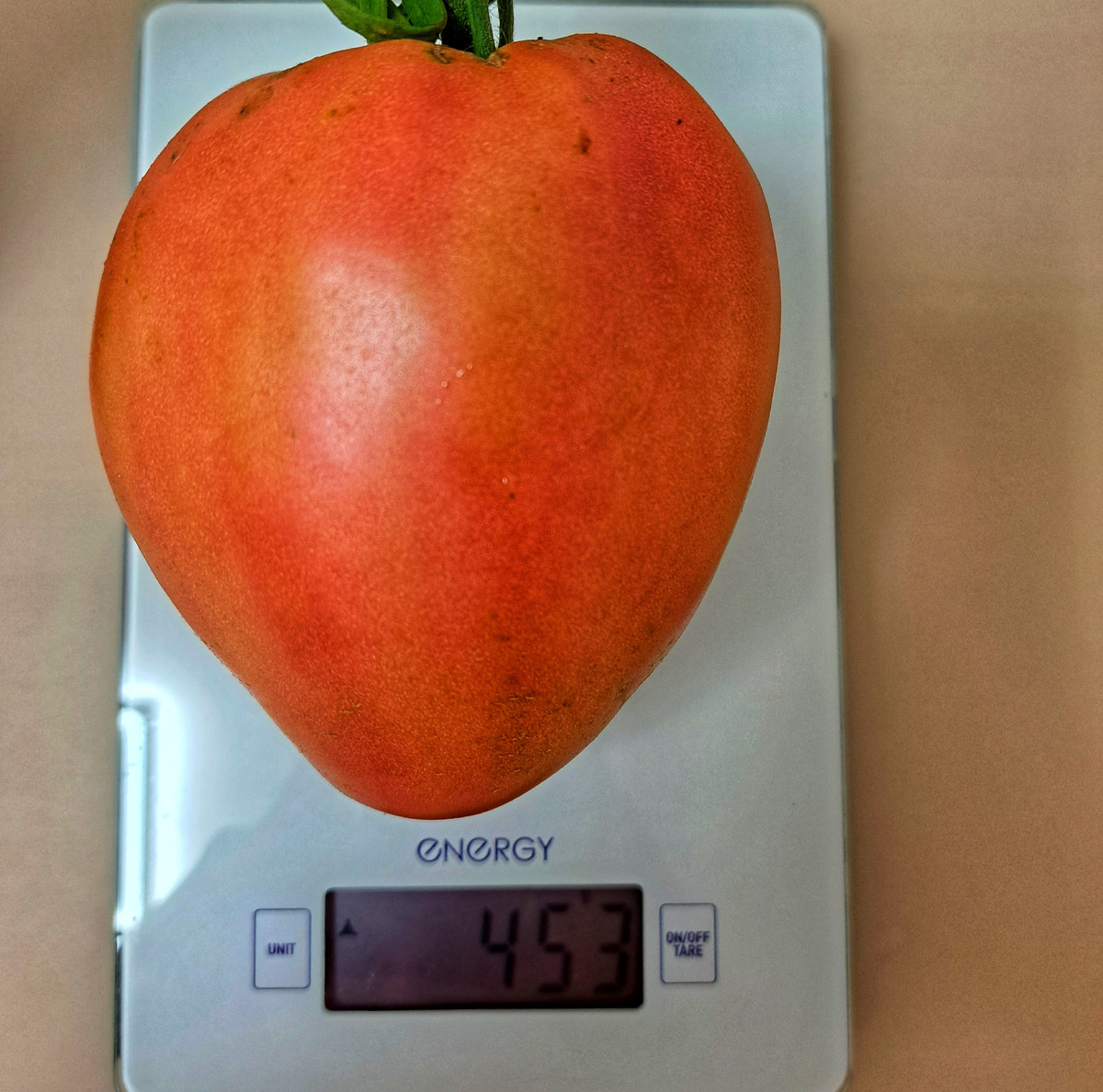 Томат Бычье Сердце