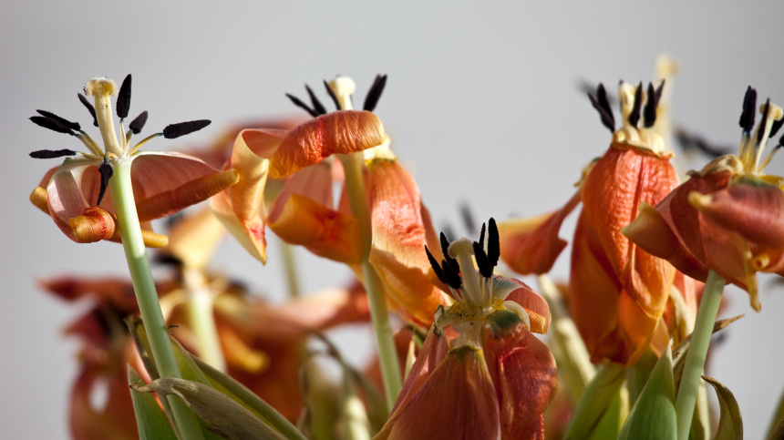    Фото: www.globallookpress.com/Thomas Born