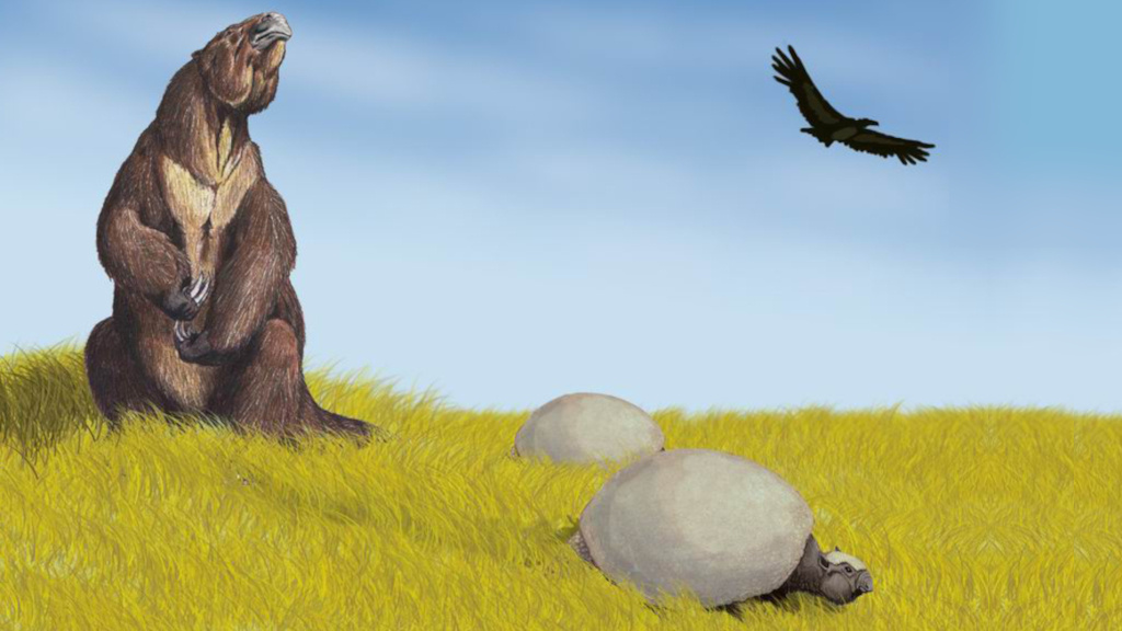 Ещё несколько десятков тысяч лет назад все были большие, а ленивцы ходили по земле.