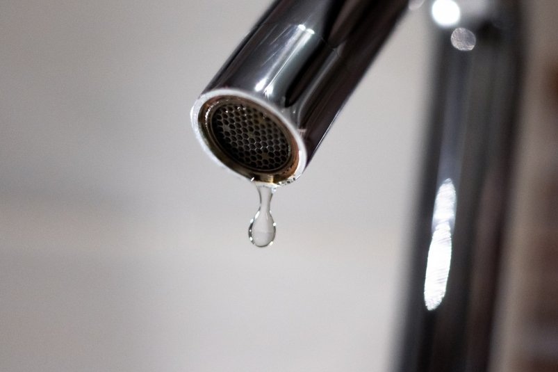    Фото: primamedia.ru Георгий