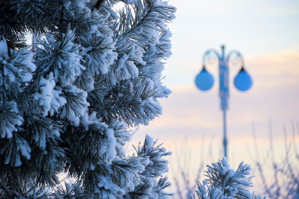    Нагорный парк Барнаула зимой. Источник: Виталий Барабаш