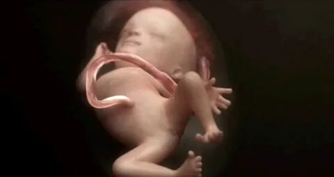 Это человек или нет?.. Формальная логика не ответит.