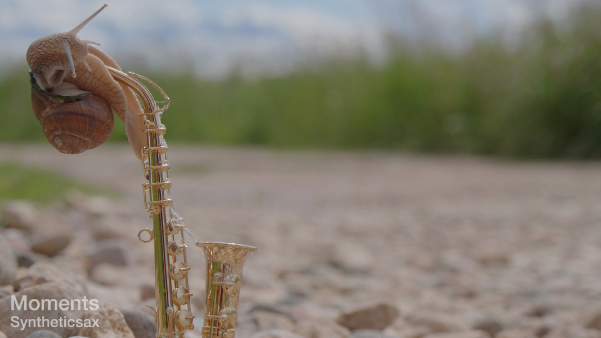Улитка смачивает саксофон