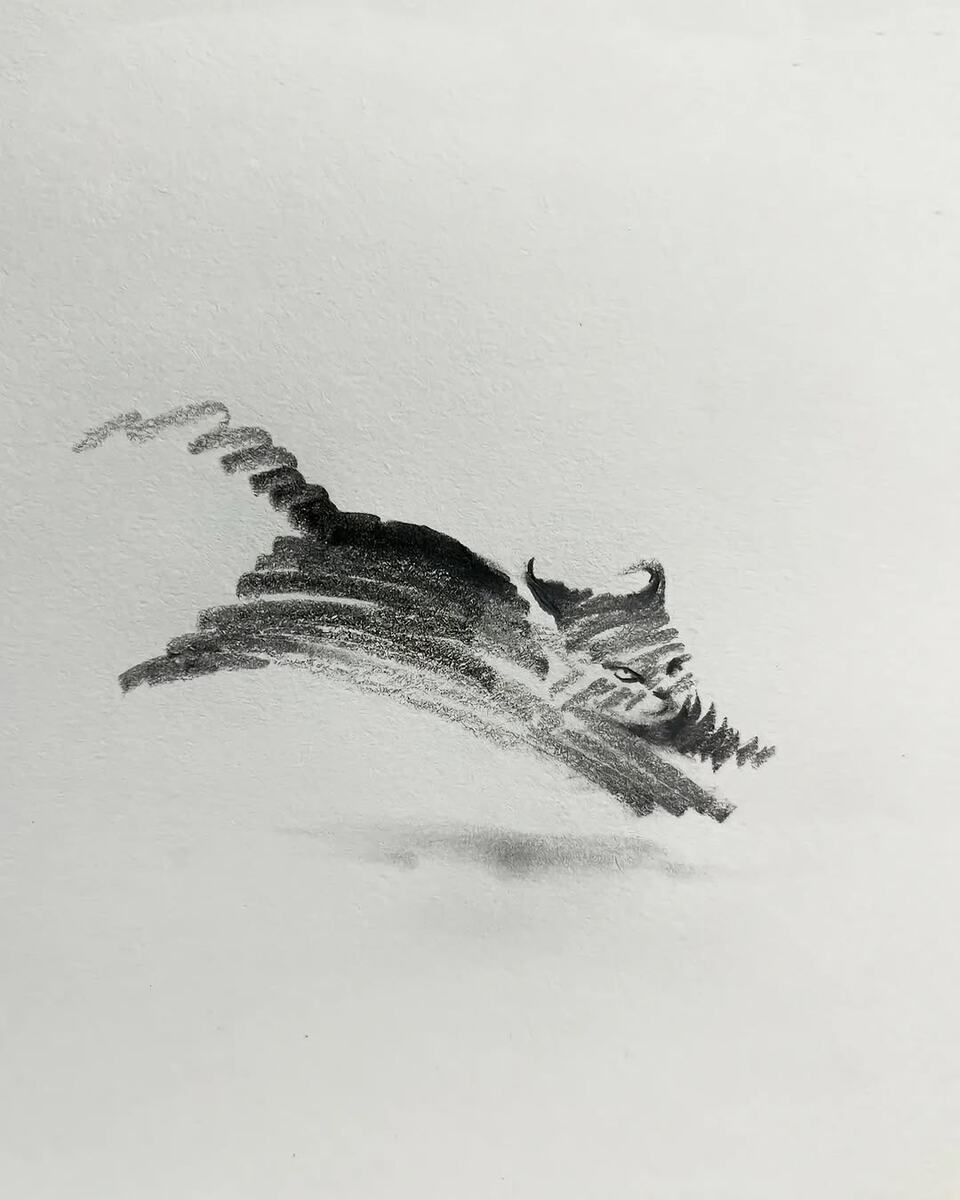 Первый рисунок 