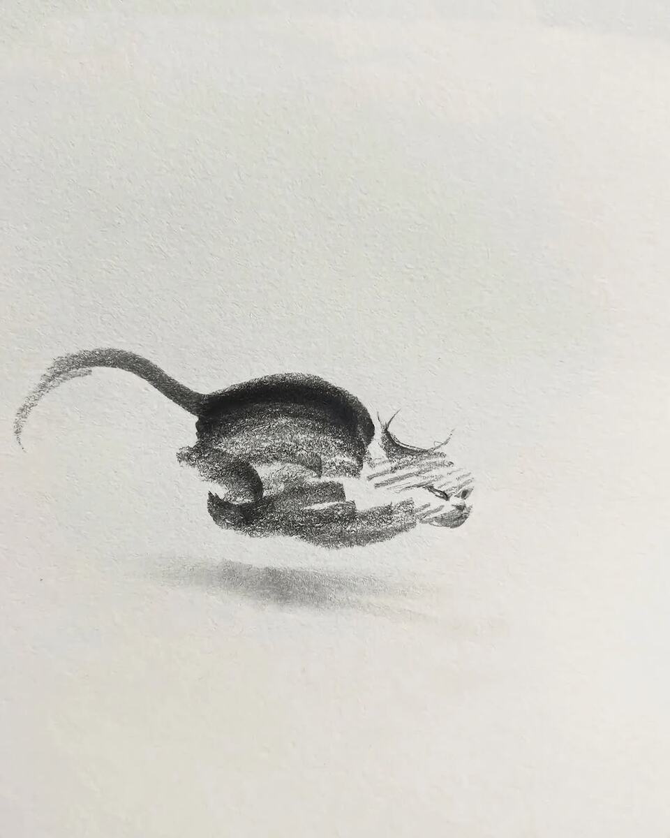 Второй рисунок 