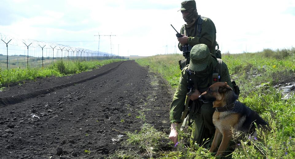    РИА «Новости»