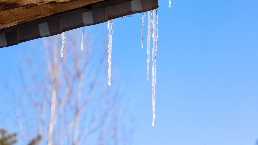    Фото: Elena Mayorova/Global Look Press