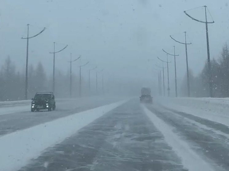     Фото: администрация Нового Уренгоя