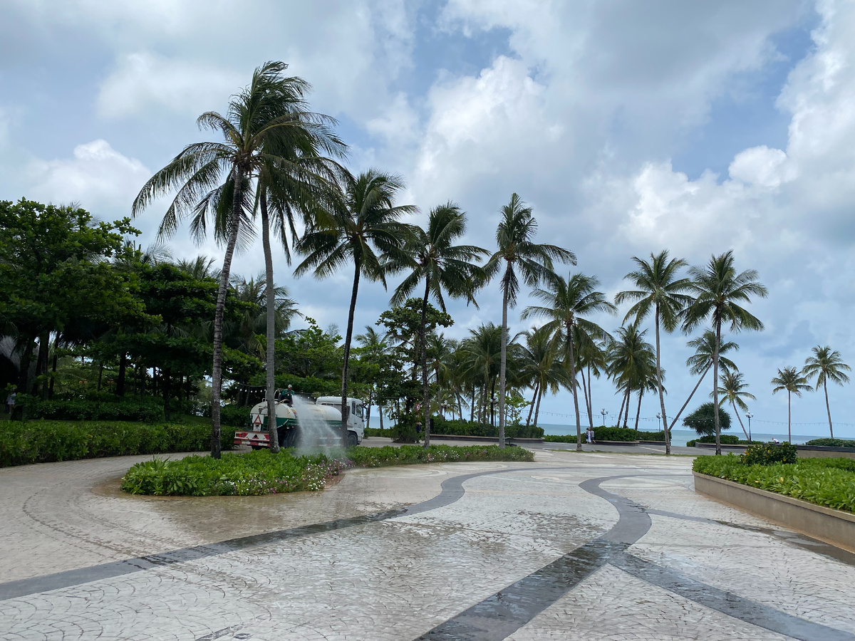 Пальмы и всю декоративную растительность регулярно поливают, иначе вместо "Баунти" будет сухой кустарник...