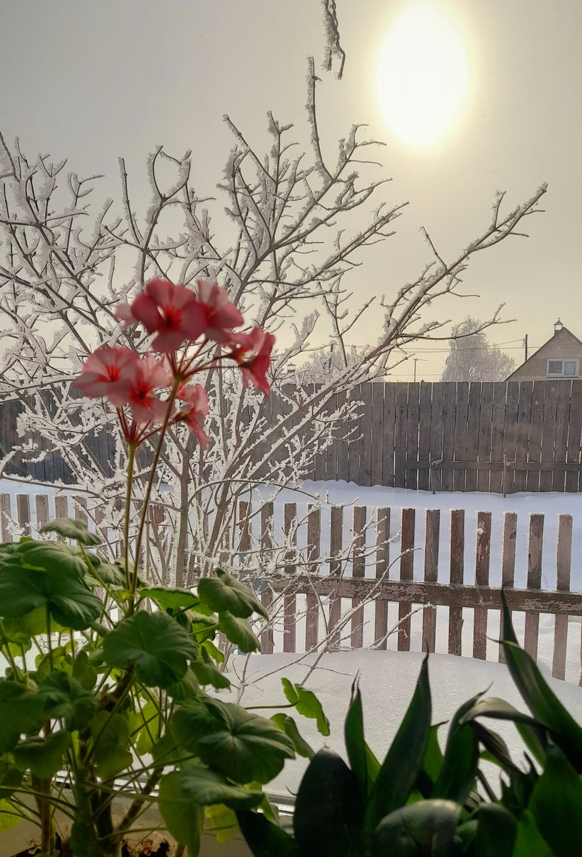 Фото Катерины Шурм