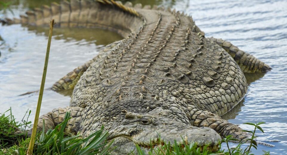    Li Yahui/XinHua / www.globallookpress.com