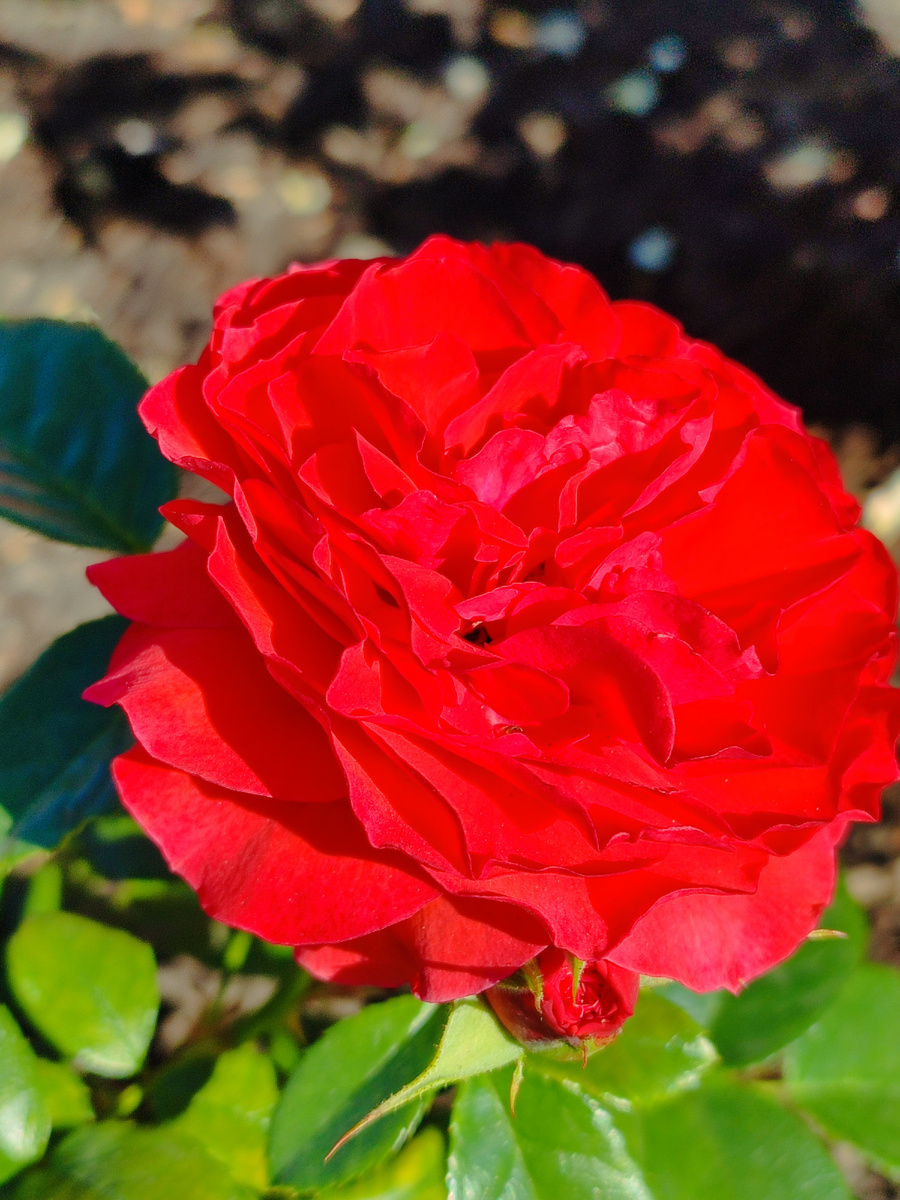 Идёт загрузка...