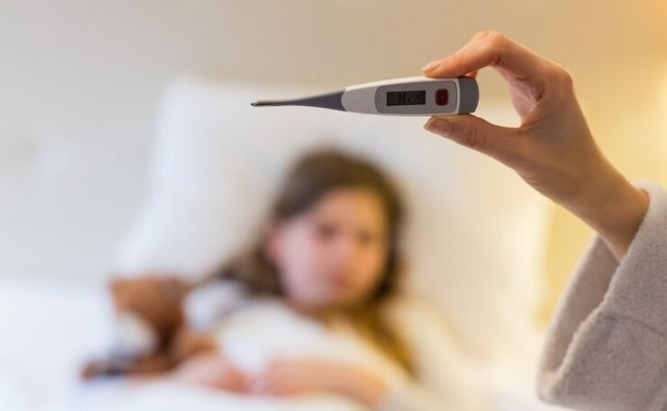 Фото:. freepik.com