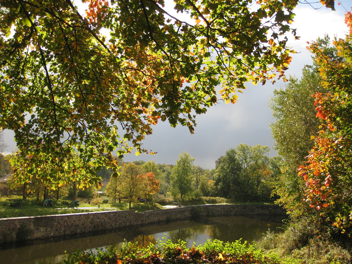 Фото: Яндекс карты. Автор: PIGLET G