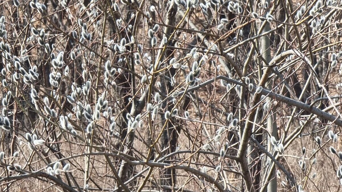     Источник: vostokmedia.com