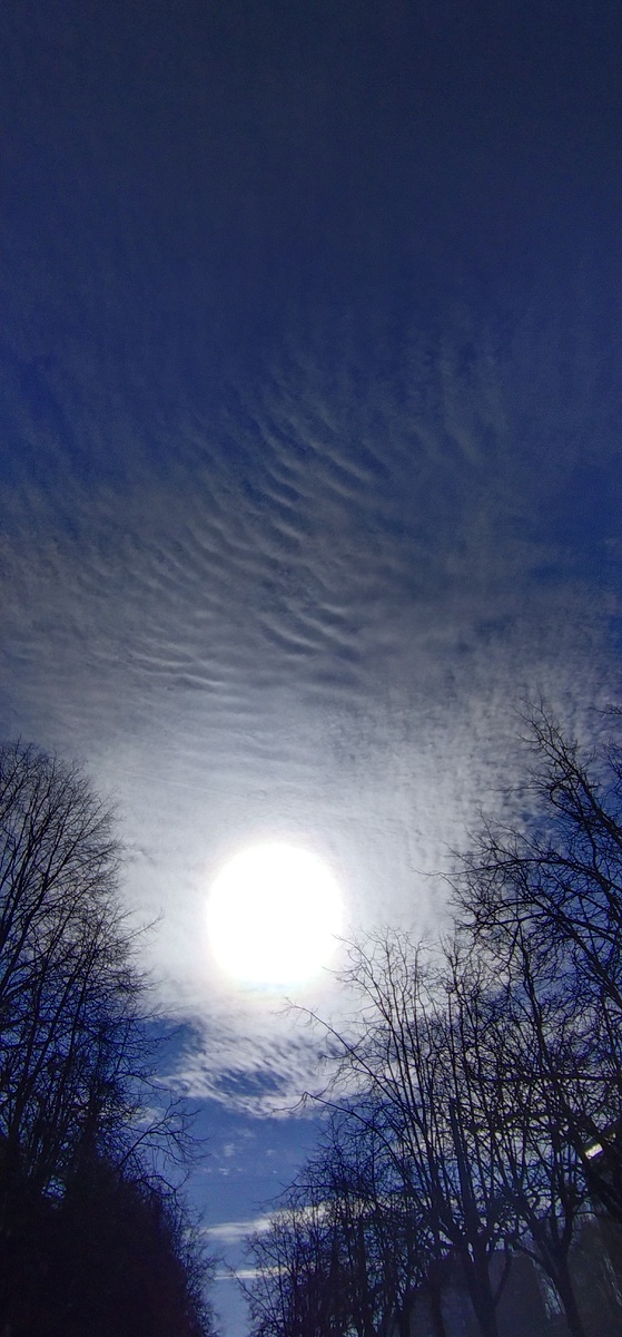 Личное фото