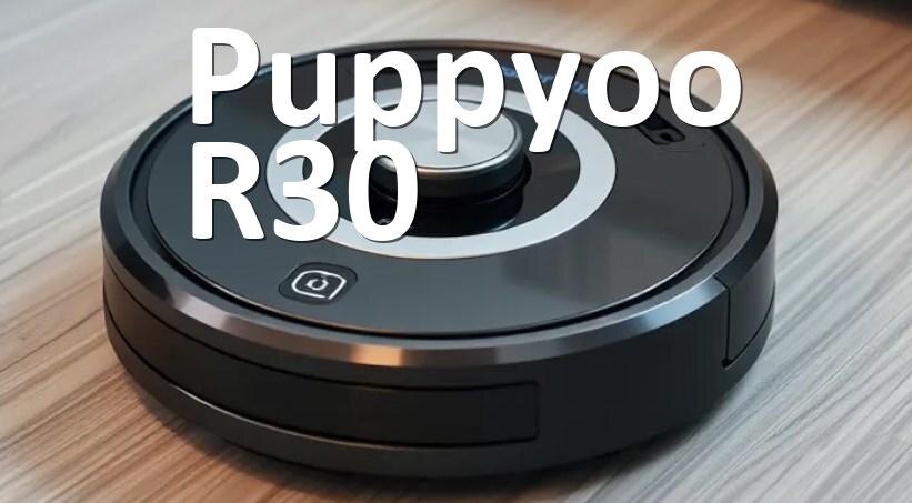 
Как на пылесосе Puppyoo R30 поменять голосовую озвучку через телефон