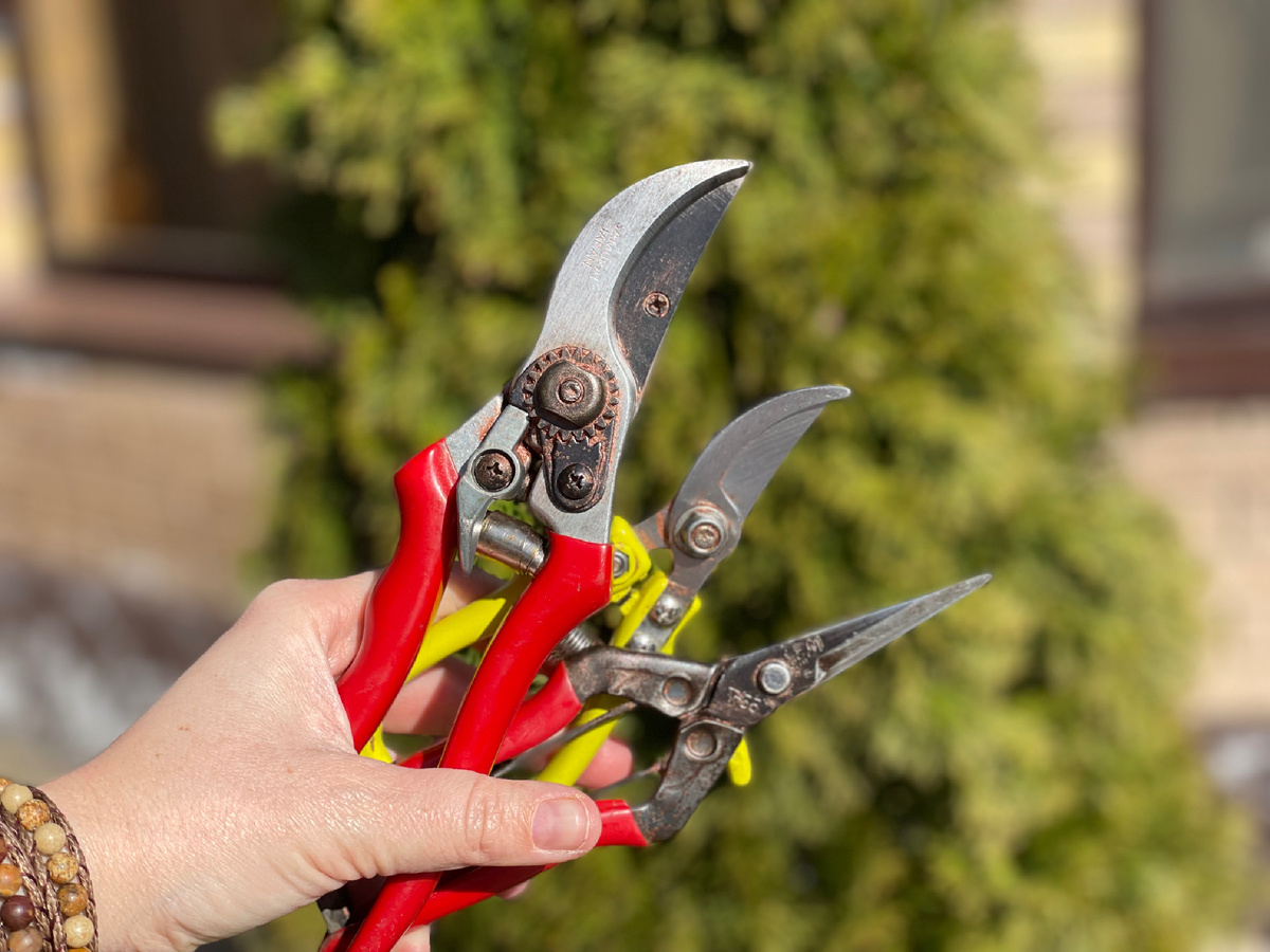 Автор фото Елена Якимова / Greenfingers 