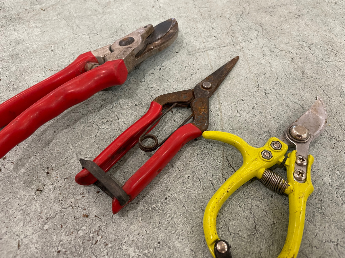 Автор фото Елена Якимова / Greenfingers 