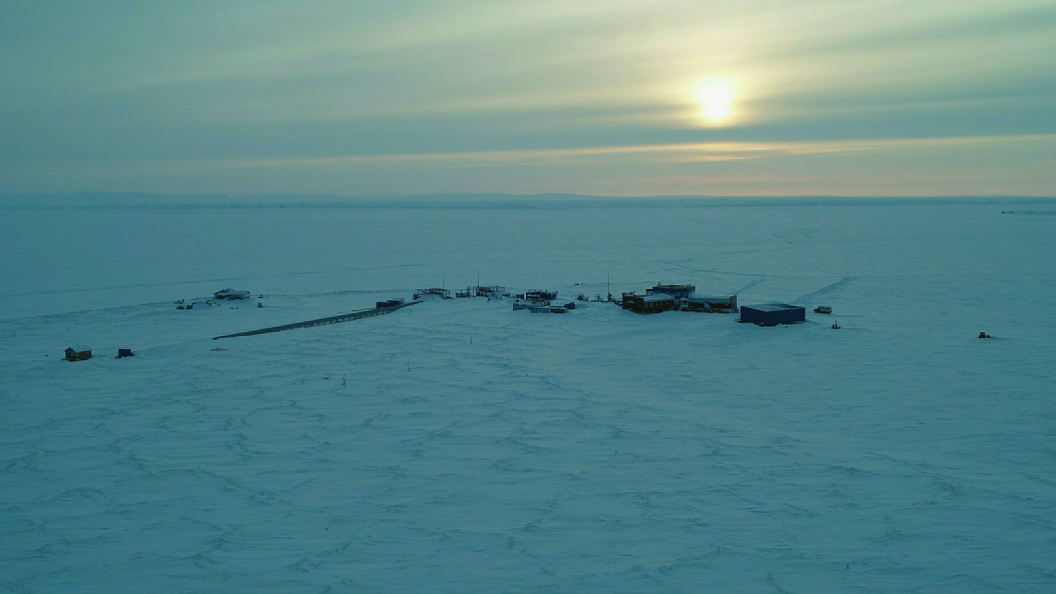    Serguei Fomine/Globallookpress