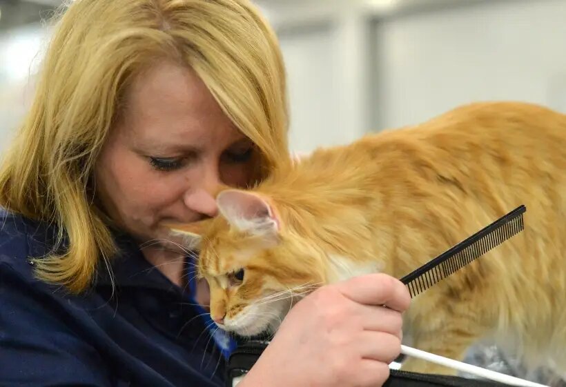     © РИА Новости. Владимир Астапкович